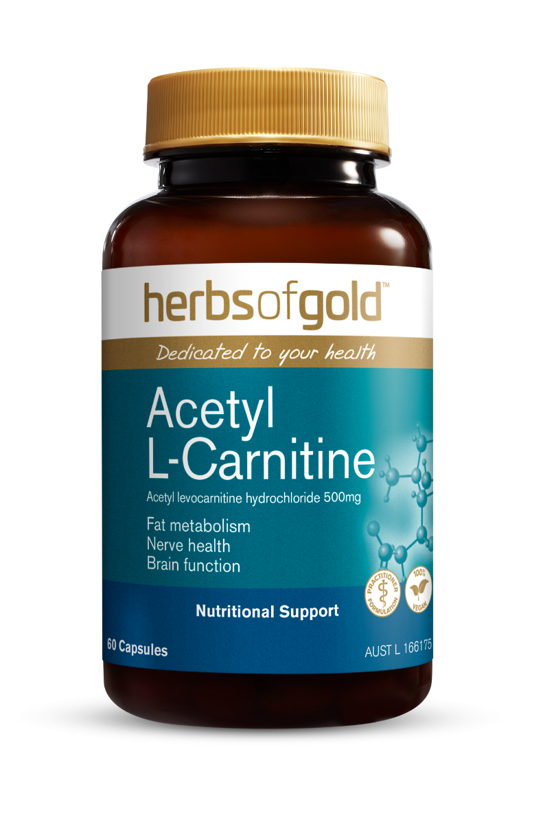 Acetyl L-Carnitine